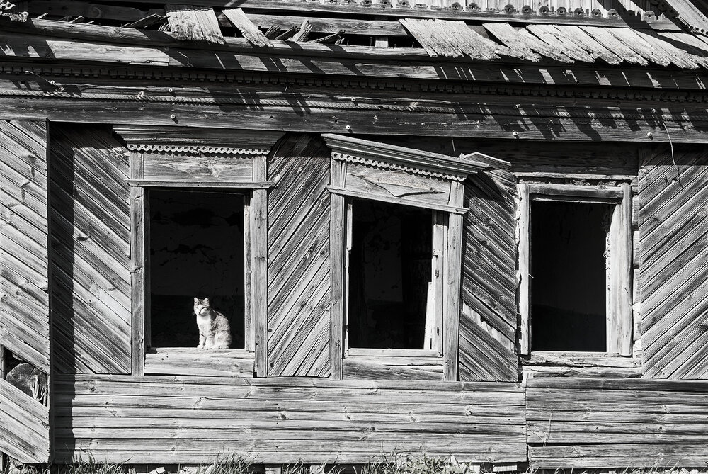 Photograph by Владислав Никишин