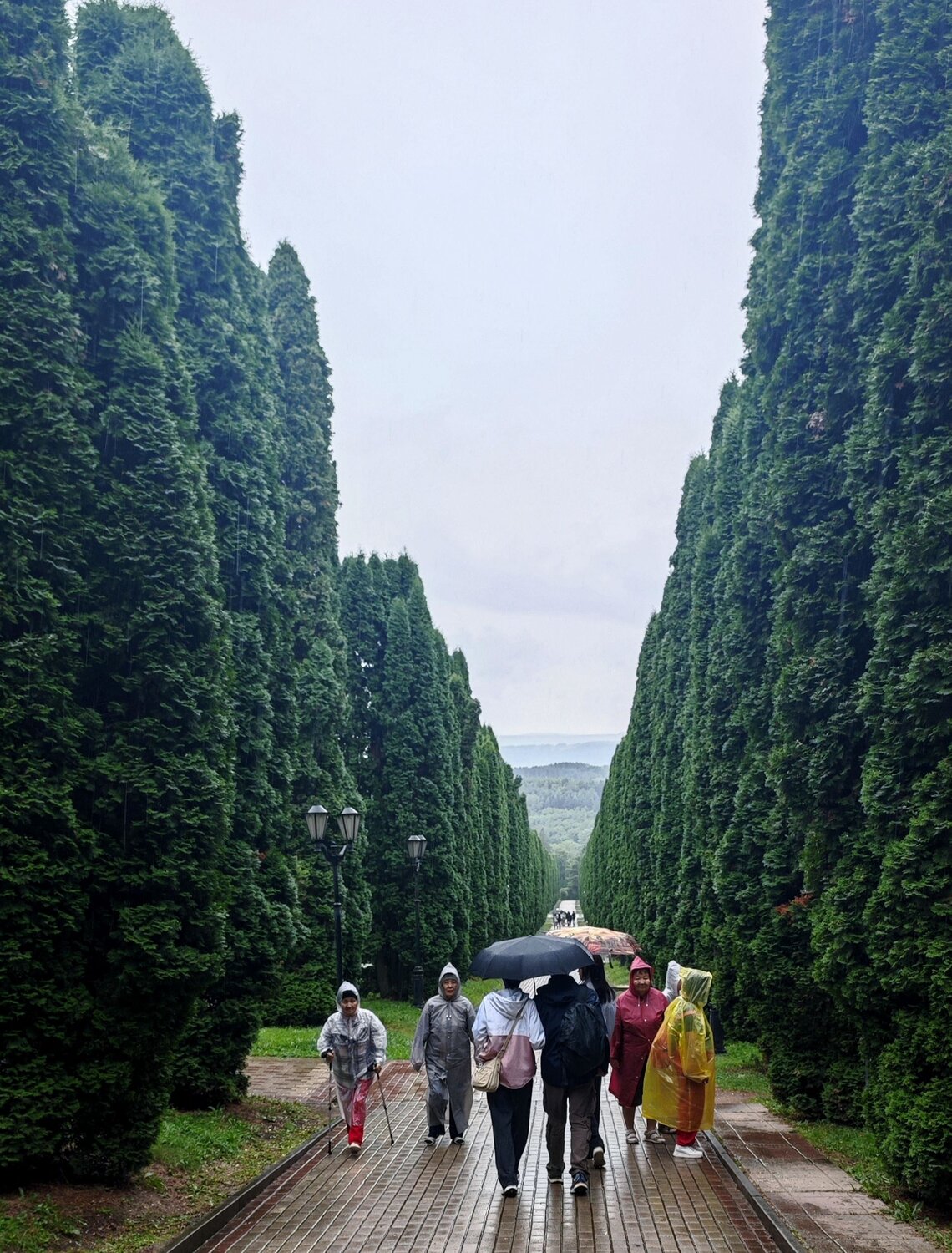 Photo #14084307