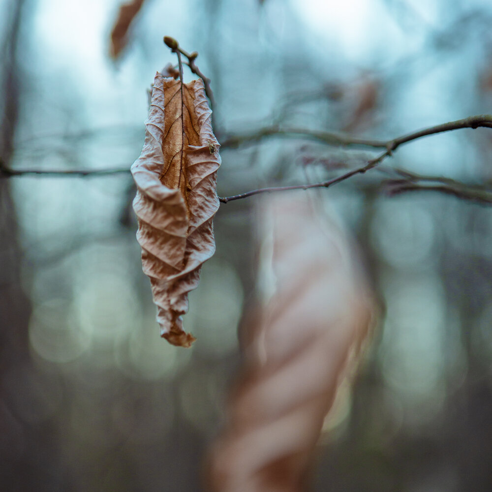 Photograph by Наталья Дороднова