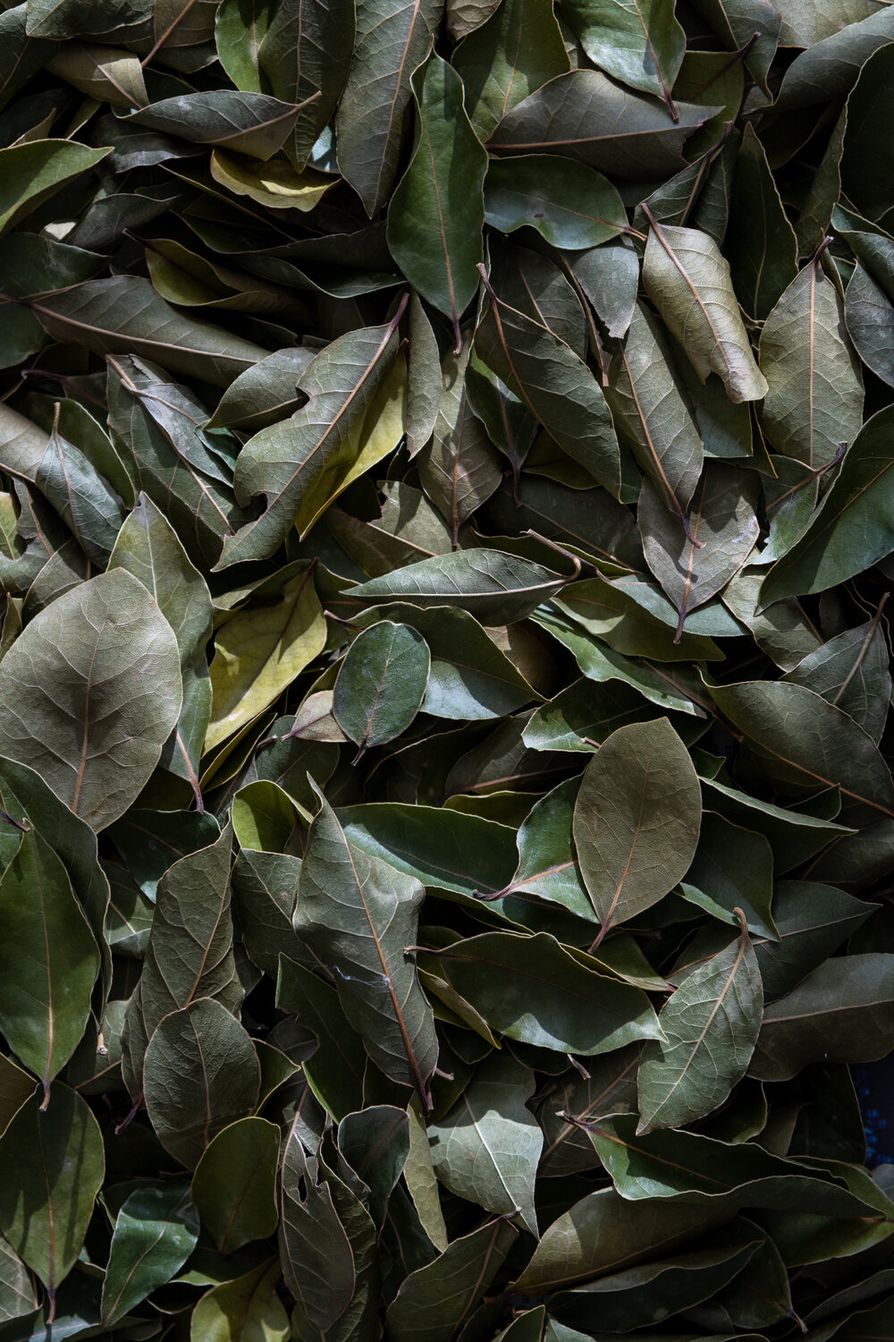 Photo #14084336
