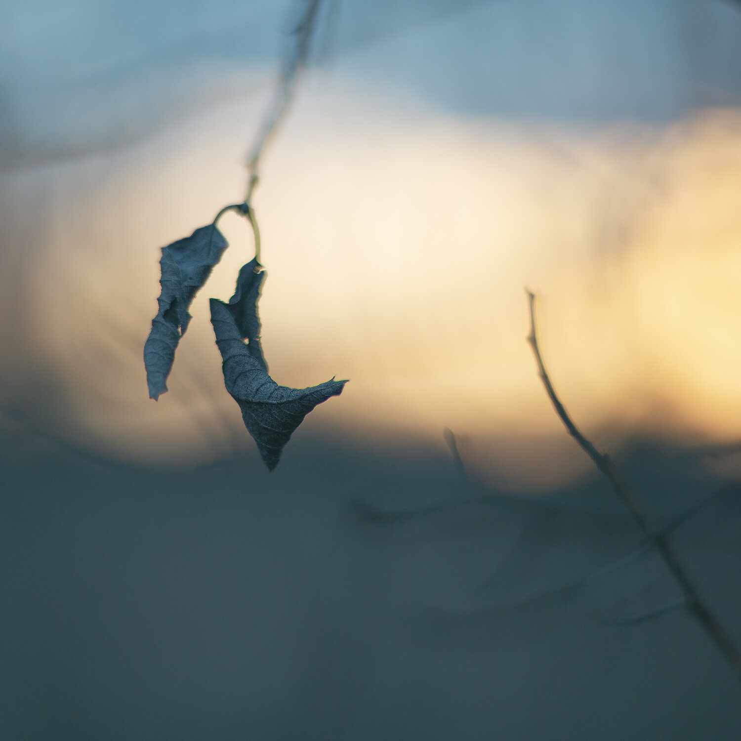 Photo #14084353