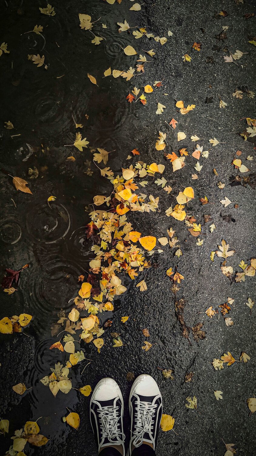 Photo #14084393