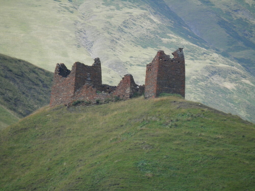 Photo #14084443