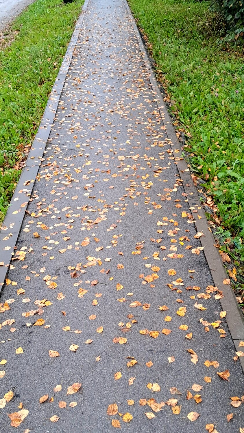 Photo #14084473