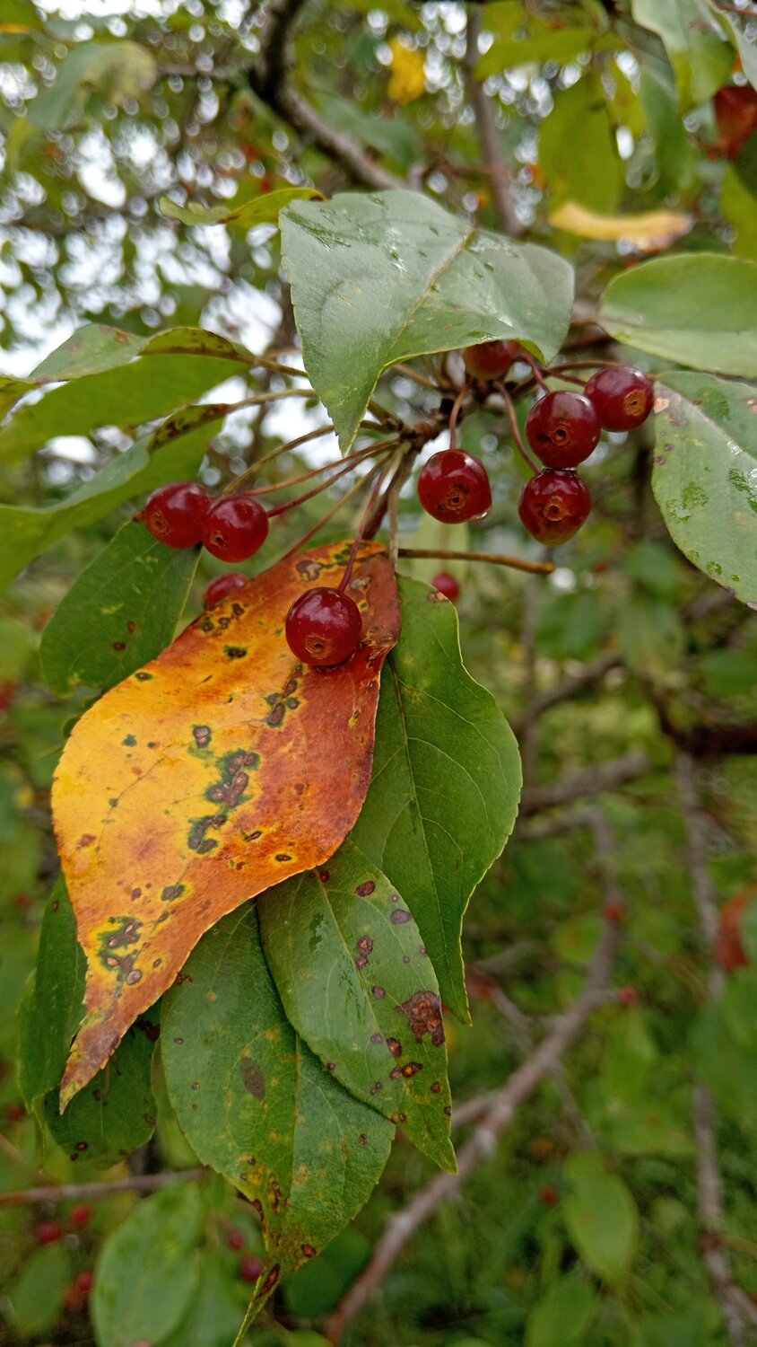 Photo #14084476
