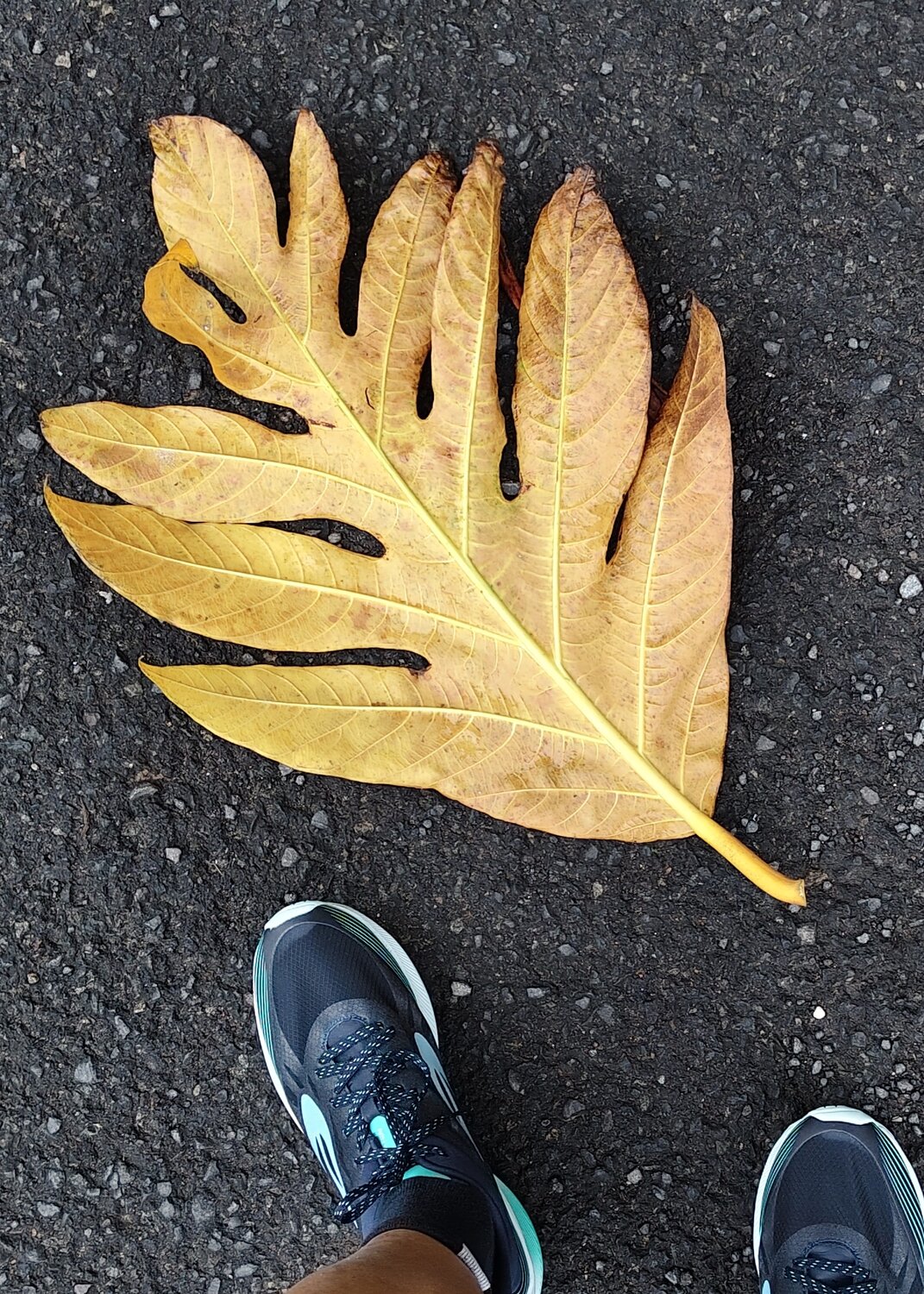 Photo #14084481