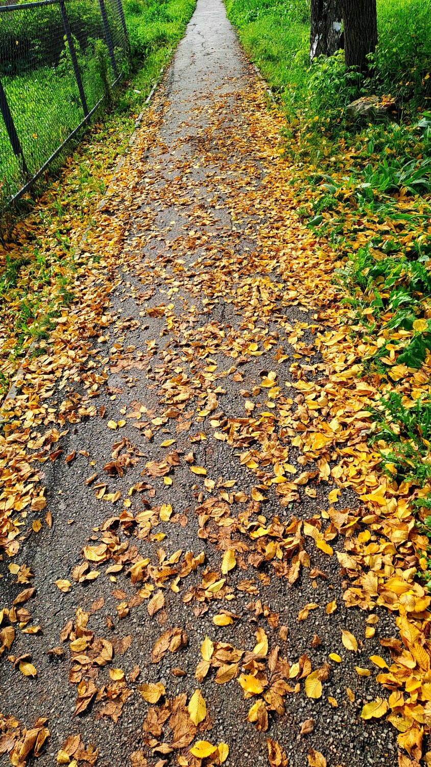 Photo #14084482