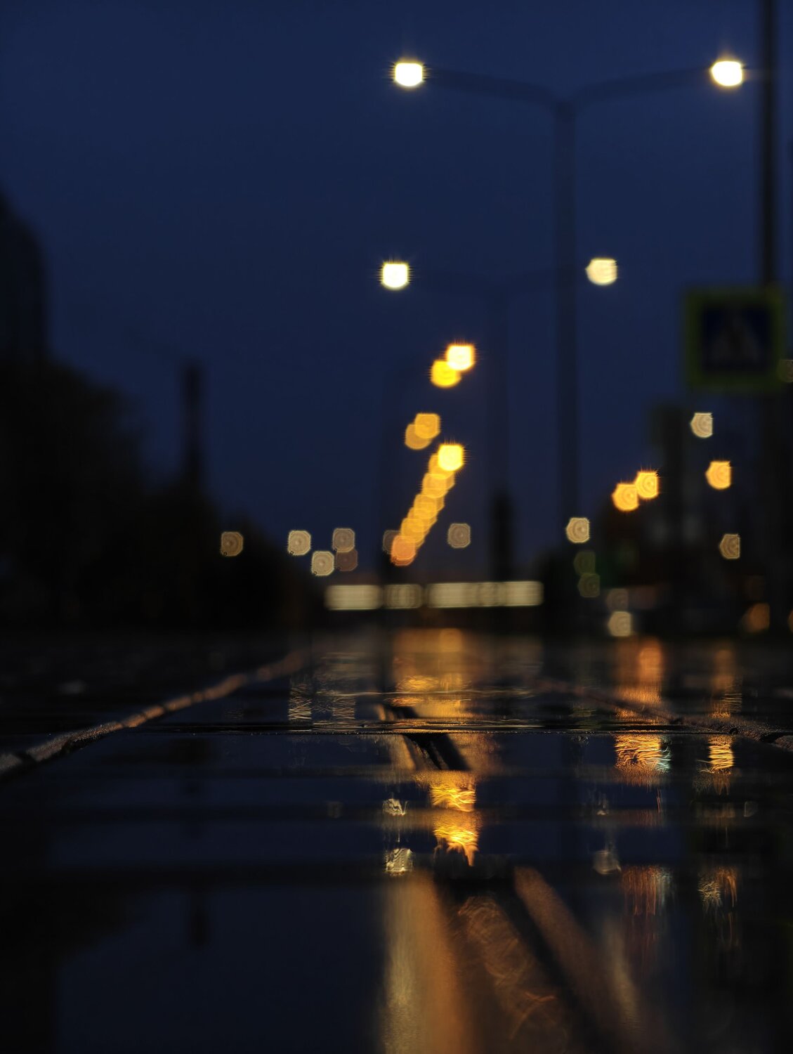 Photo #14084498