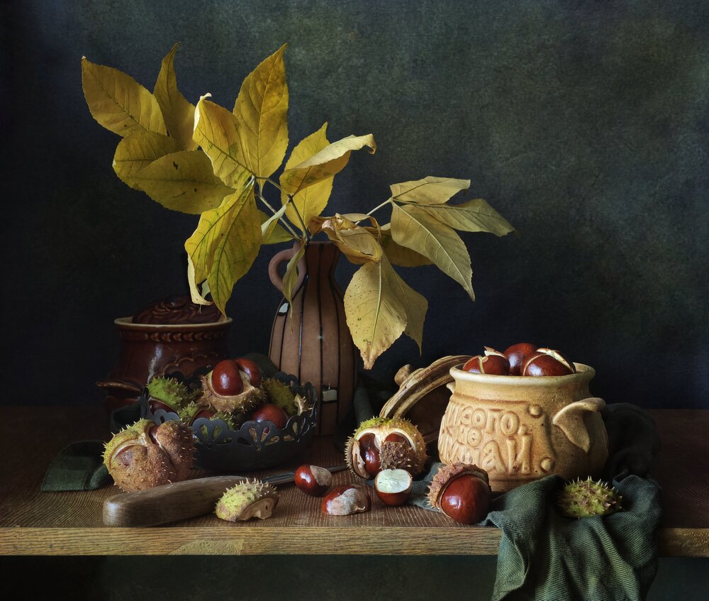 Photograph by Elena Novikova