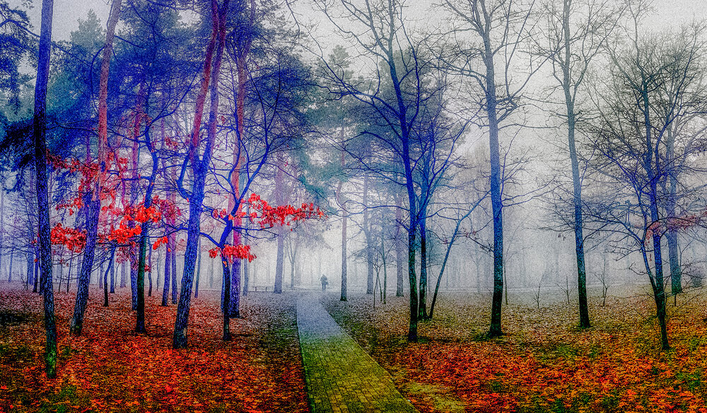 Photograph by Semashko Stas