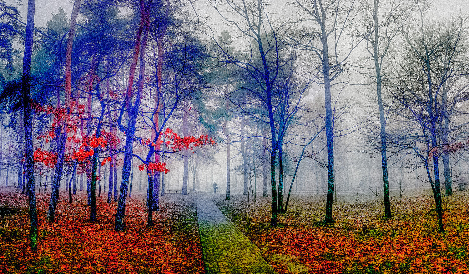 Photo #14084546