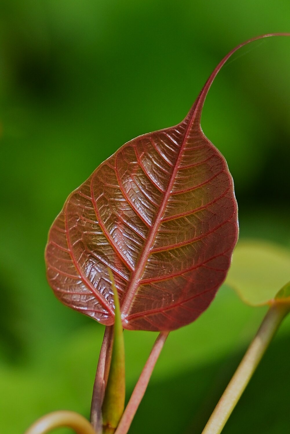 Photo #14084578