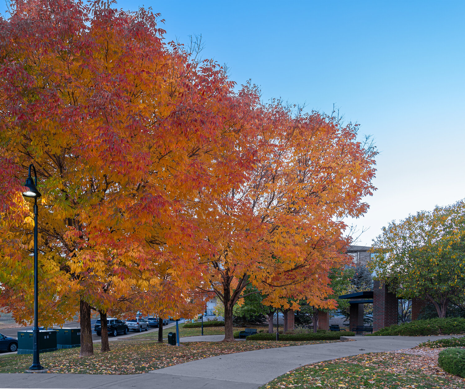 Autumn Light along the Promenade