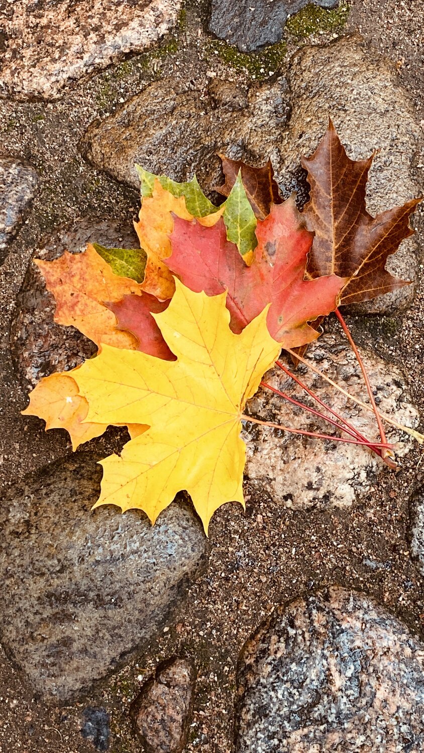 Photo #14084608