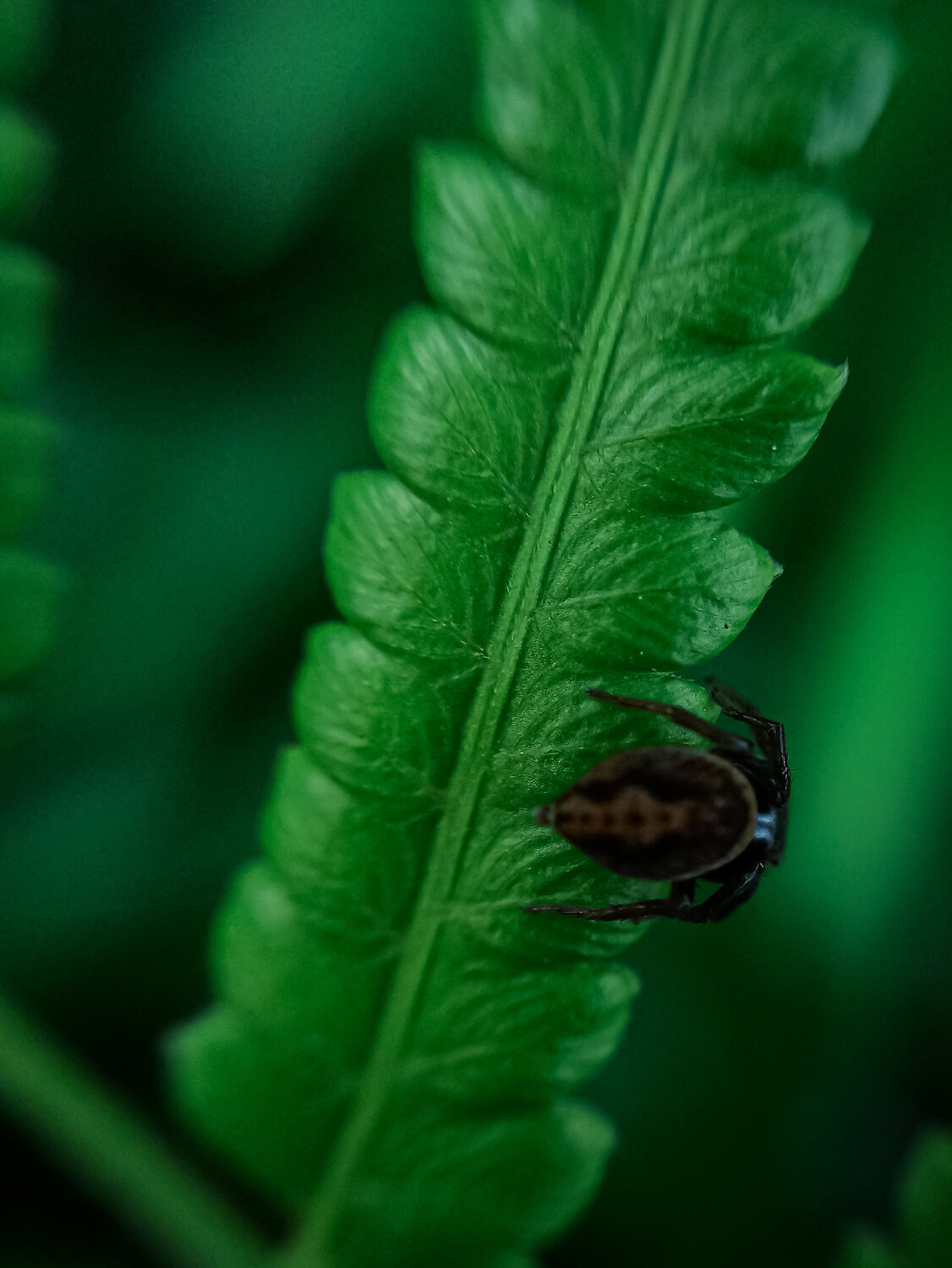 Macro moments in the green