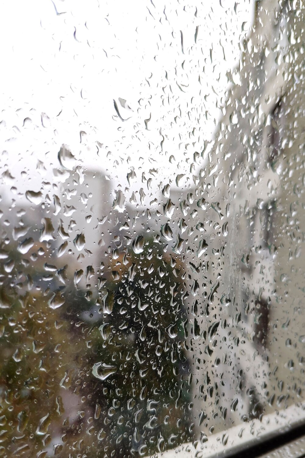 Photo #14084618