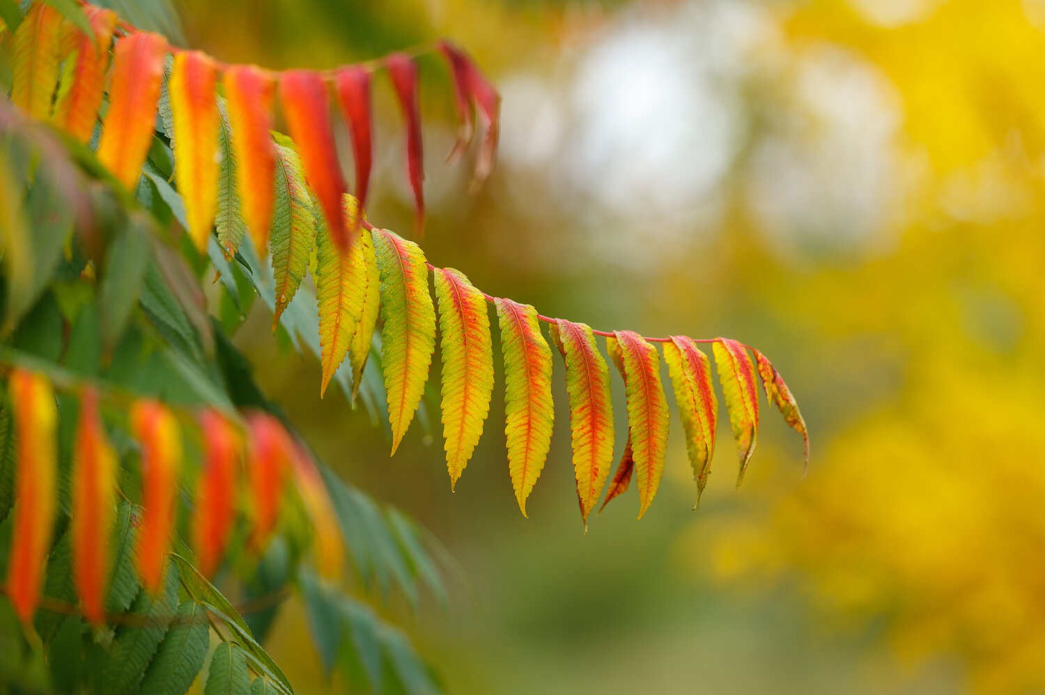 Photo #14084653