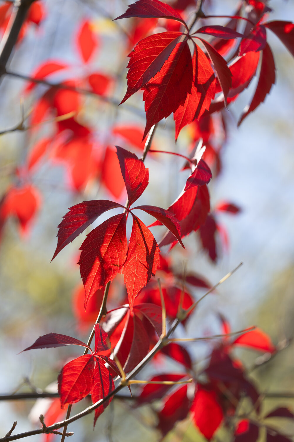 Photo #14084669