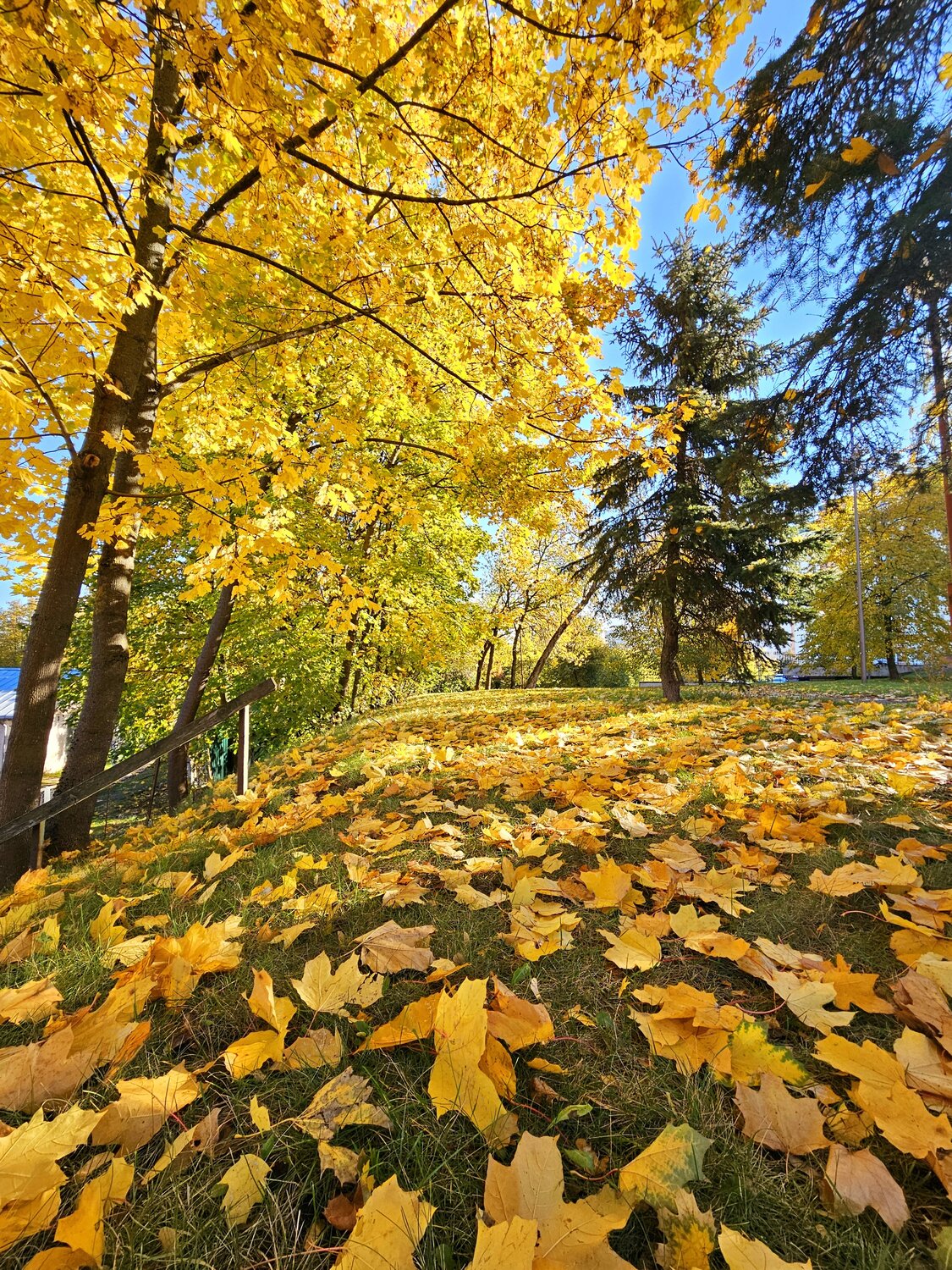 Photo #14084747