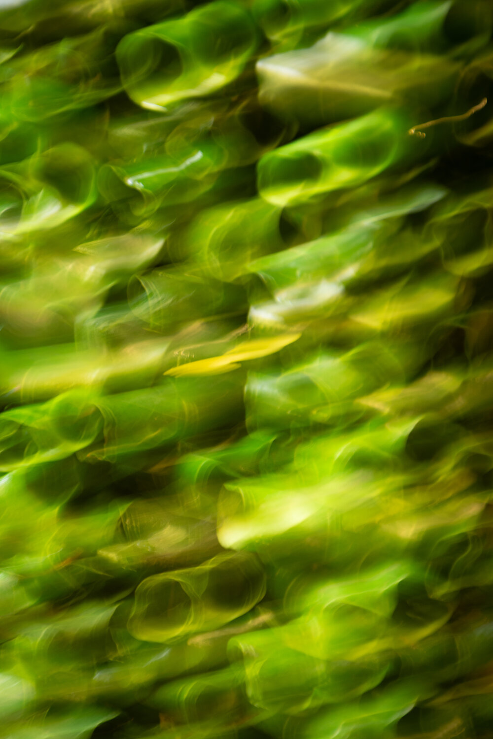 Photo #14084752