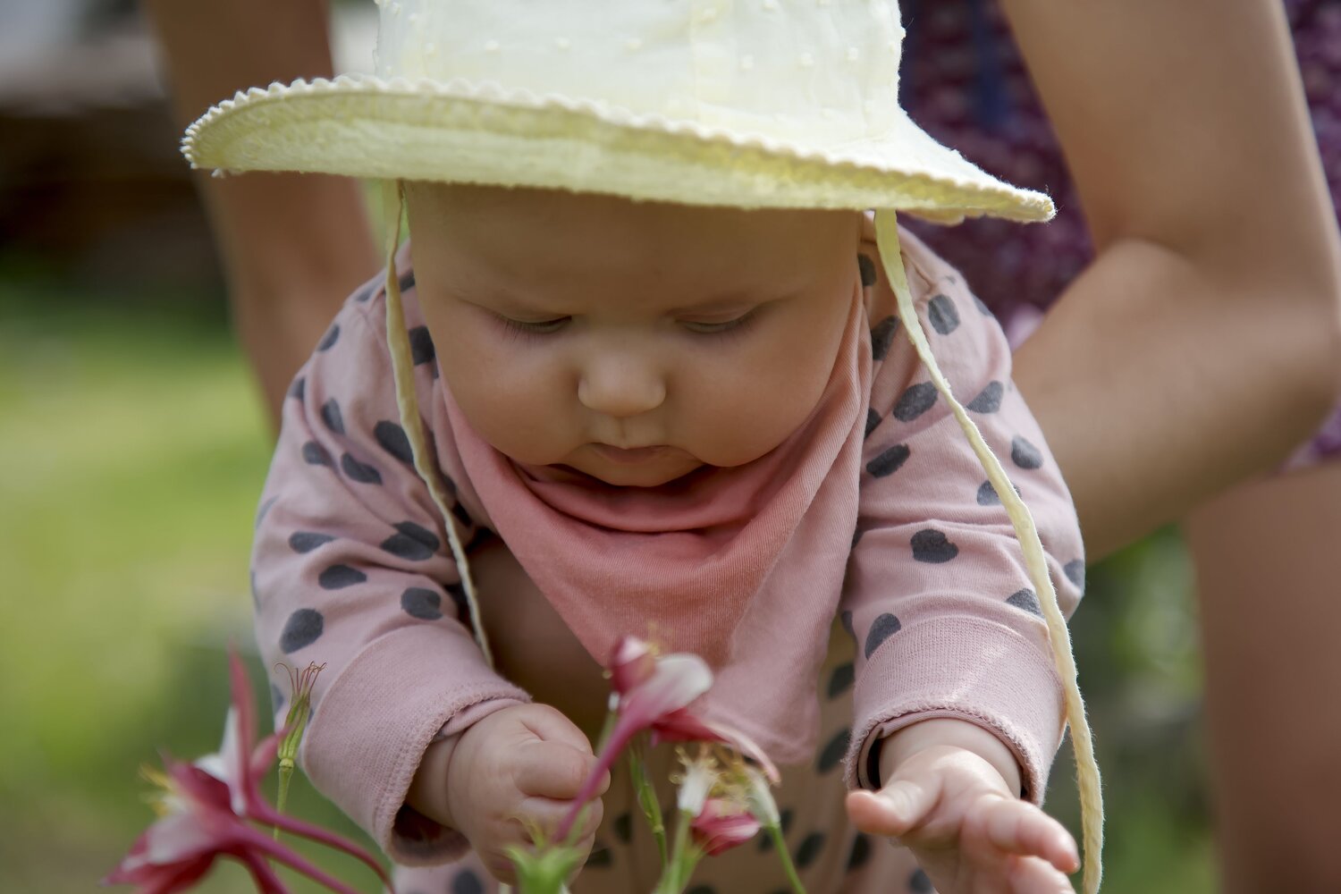 Photo #14084757