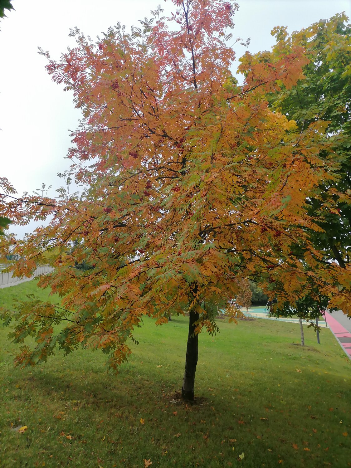 Photo #14084777