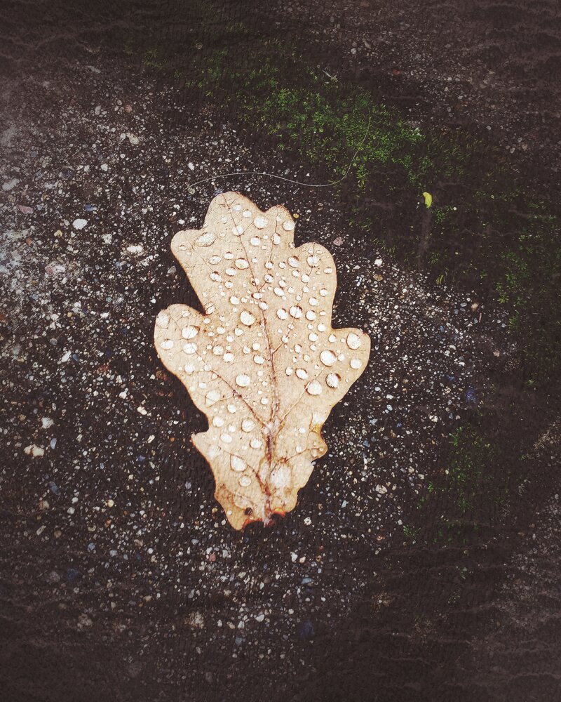 Photograph by Наталья Устюжина