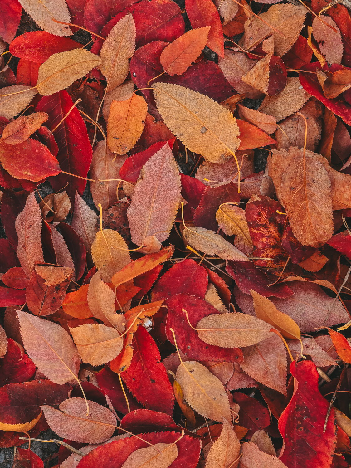 Photo #14084813