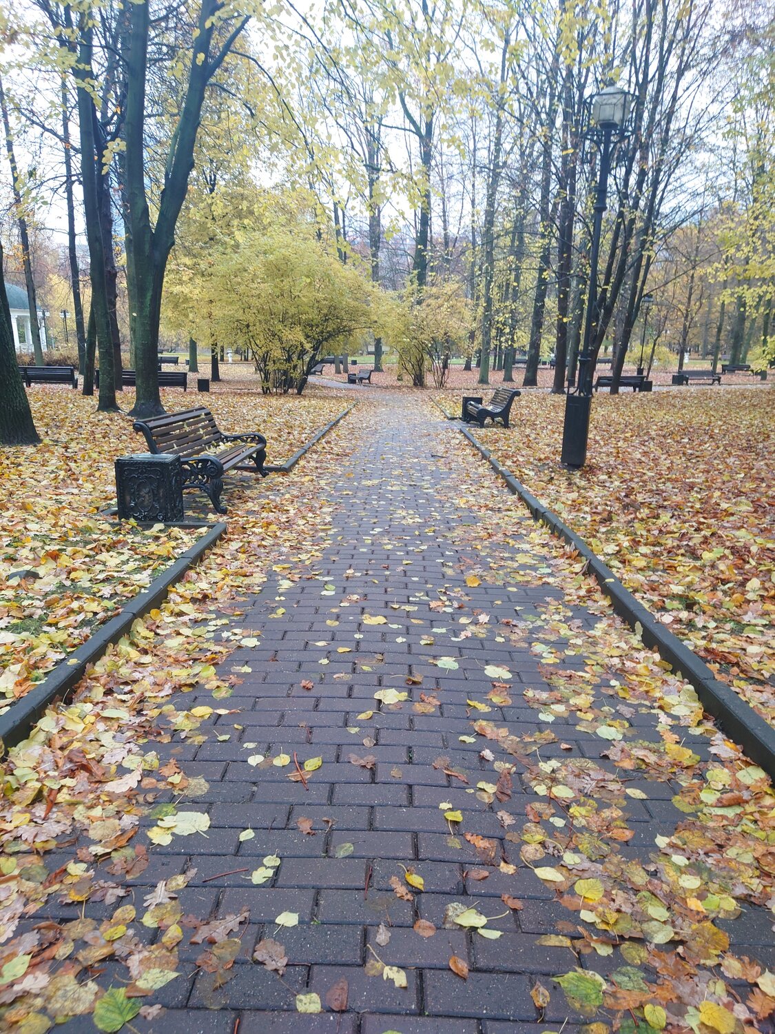Осенью в парке