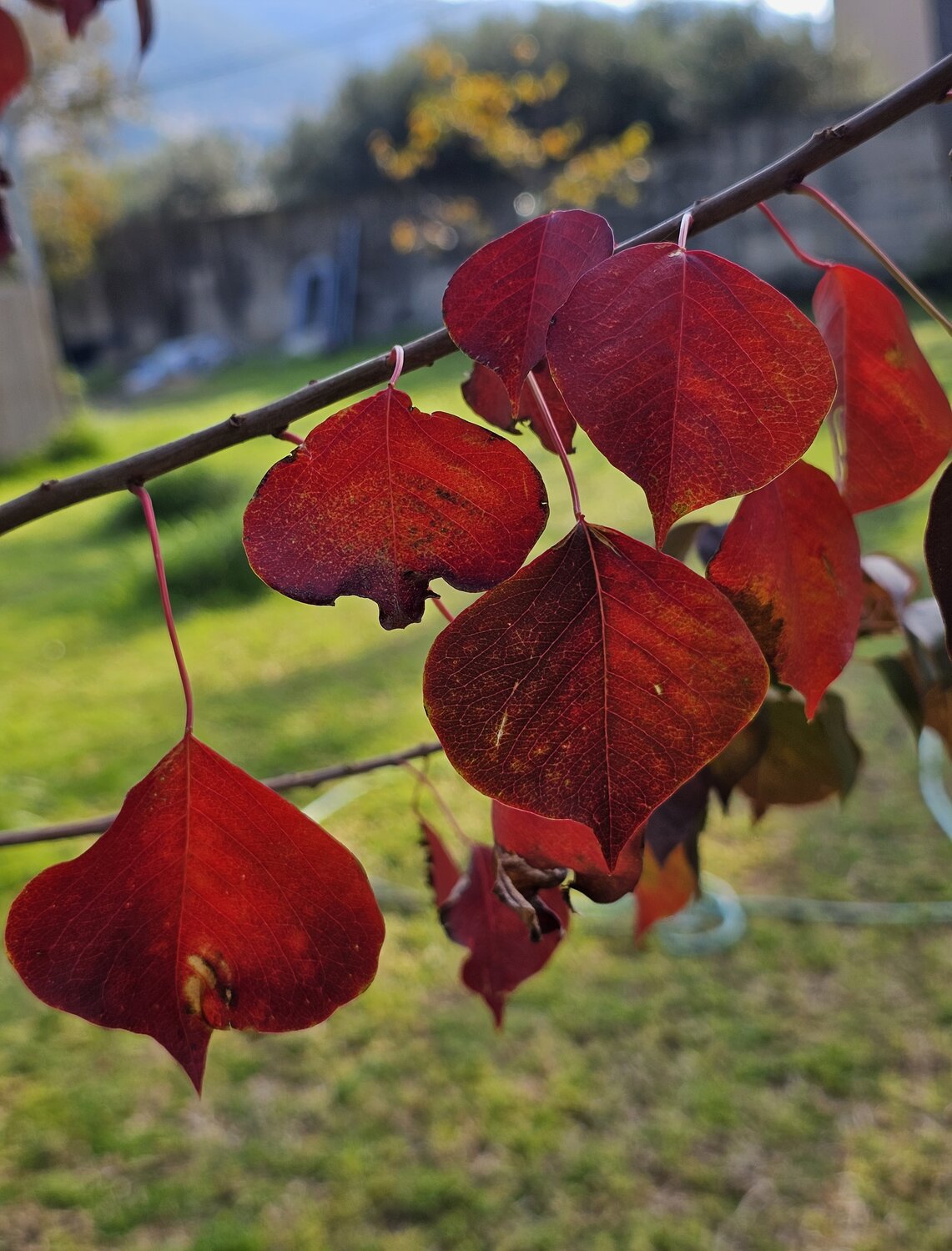 Photo #14084872
