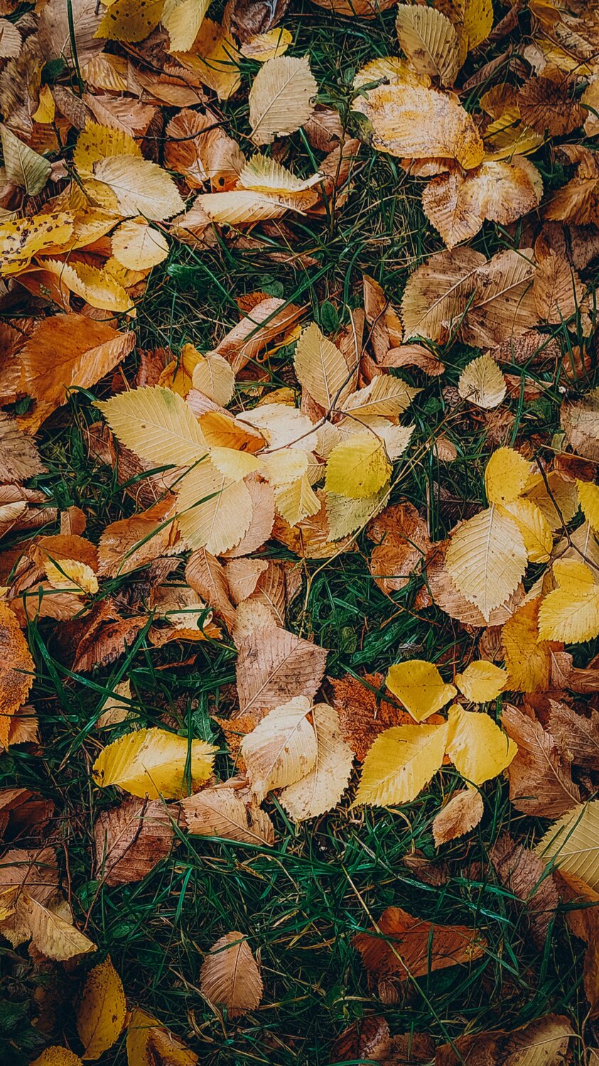 Фотография #14084877