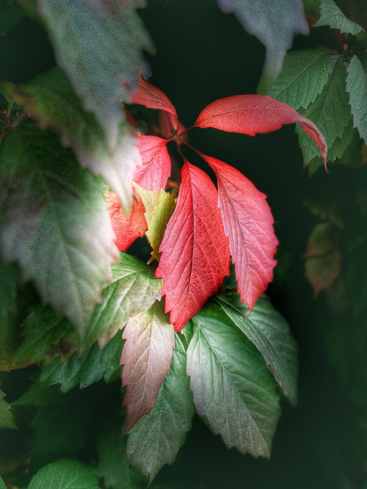 Photograph by Наталья Крылова