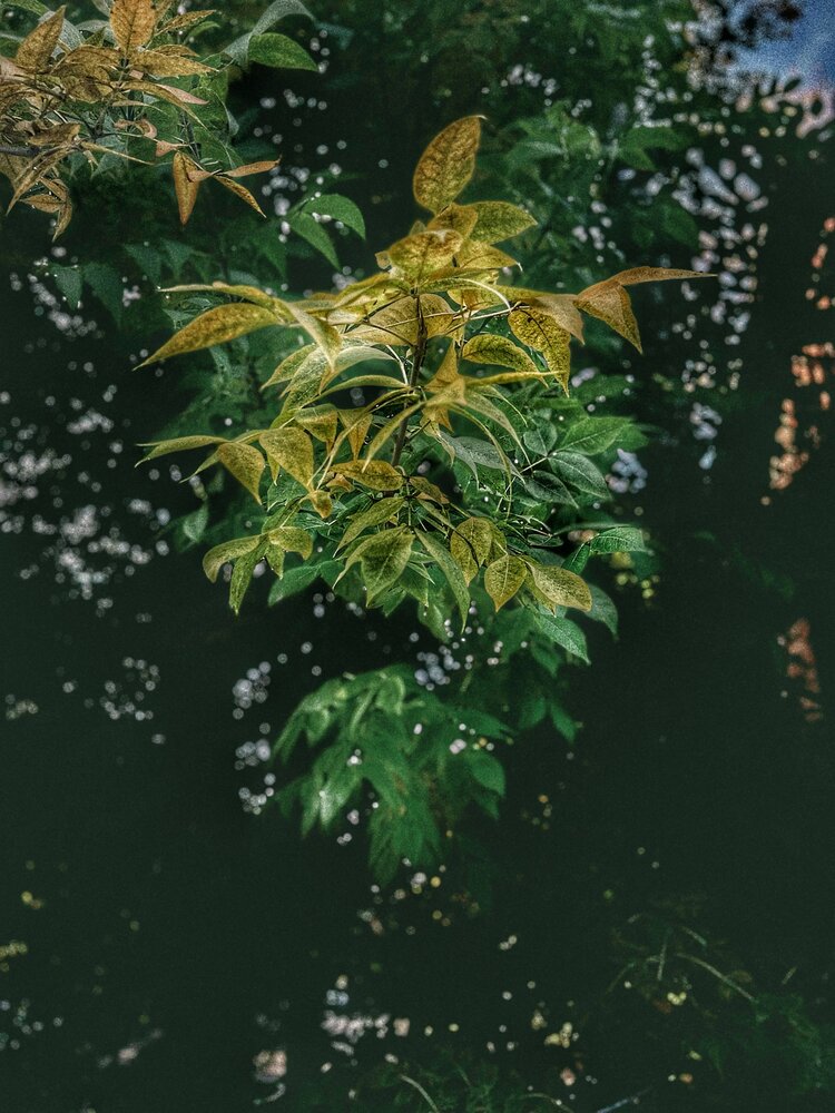Photograph by Наталья Крылова