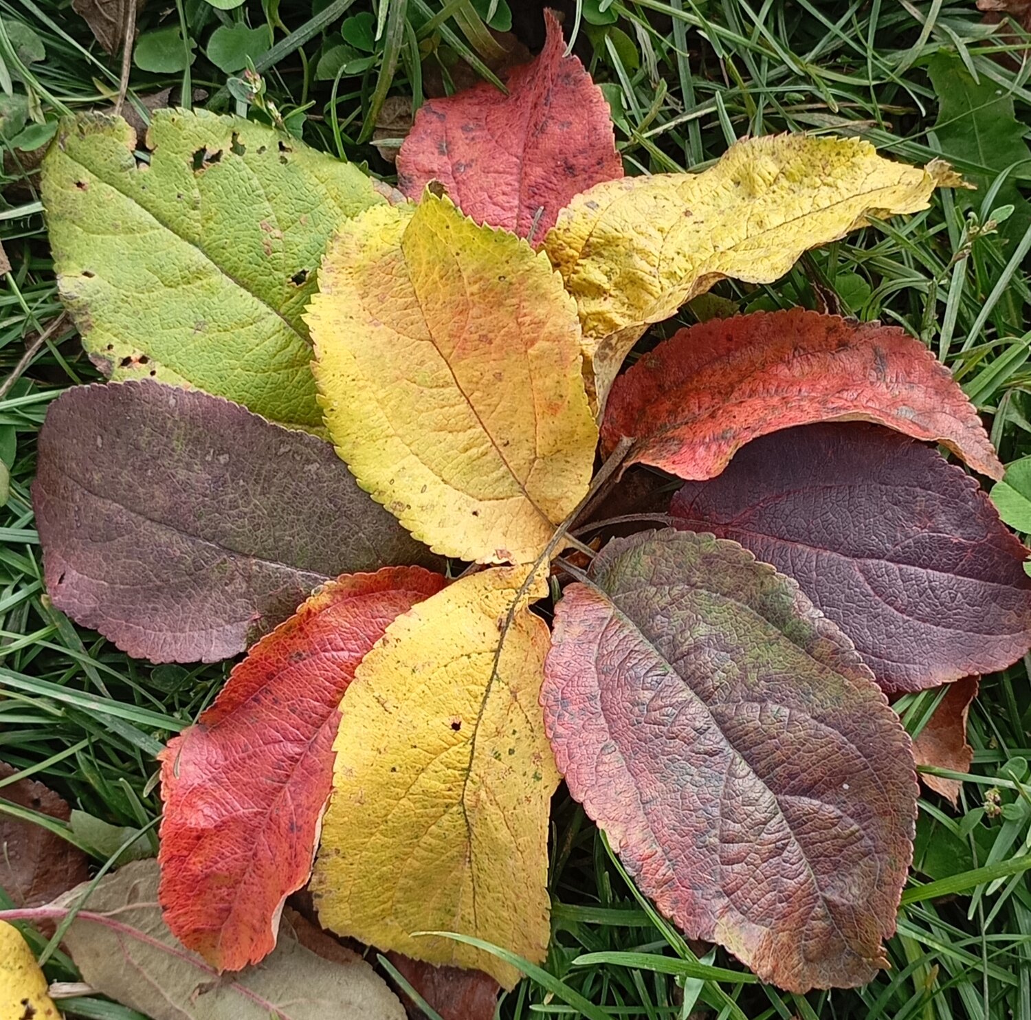 Photo #14084984