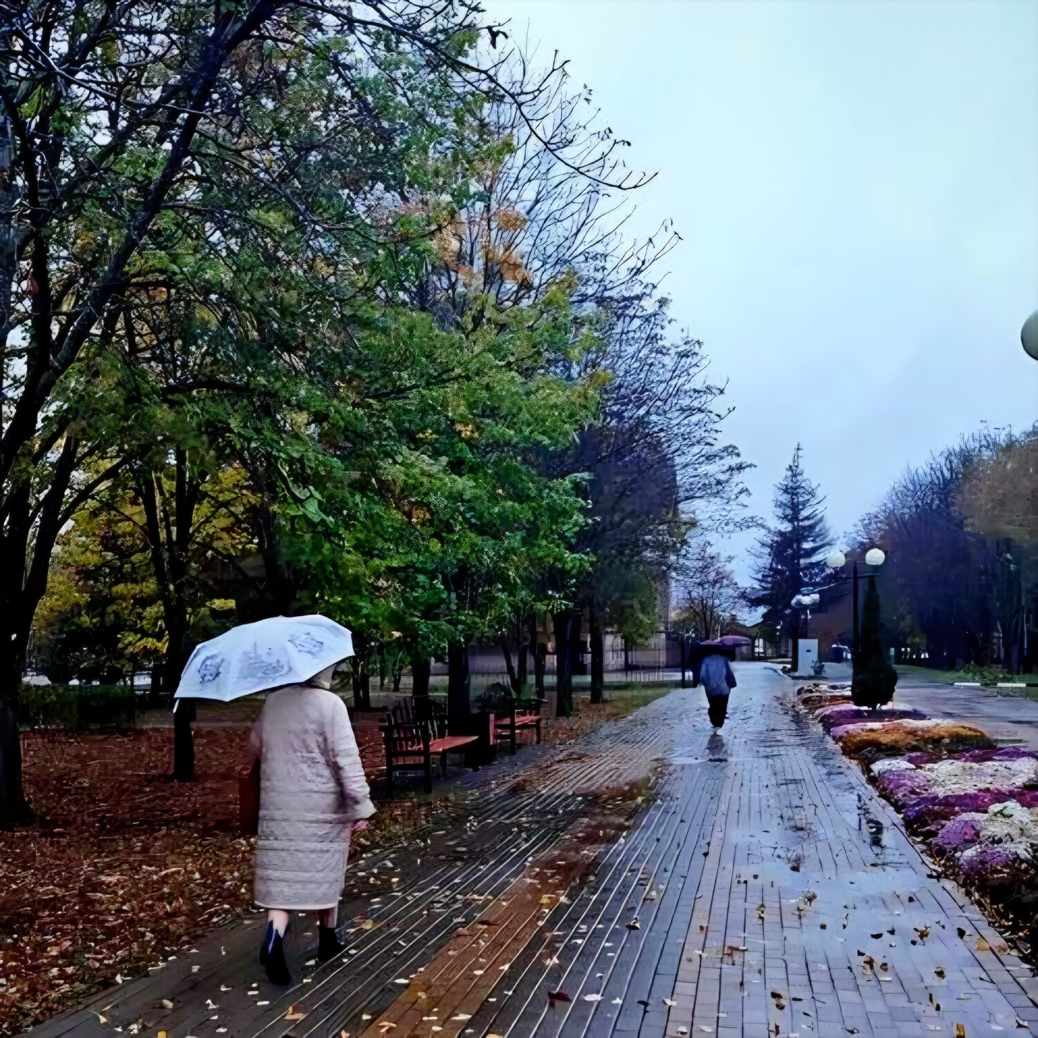 Фотография #14084999