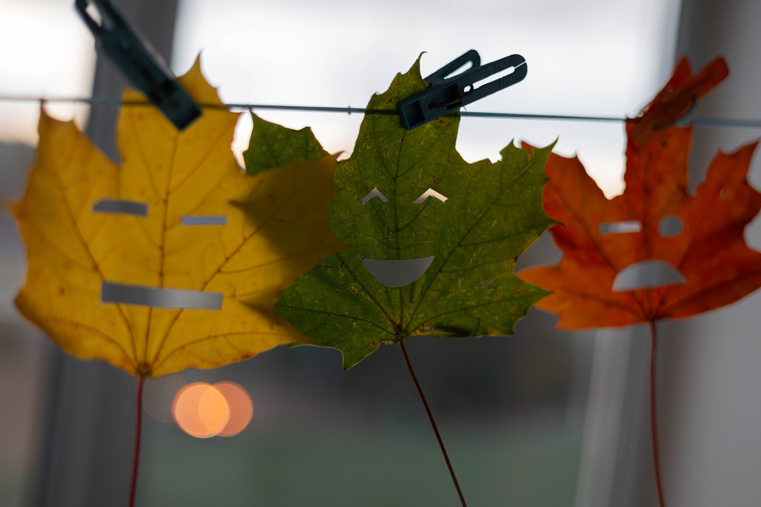 Photo #14085014