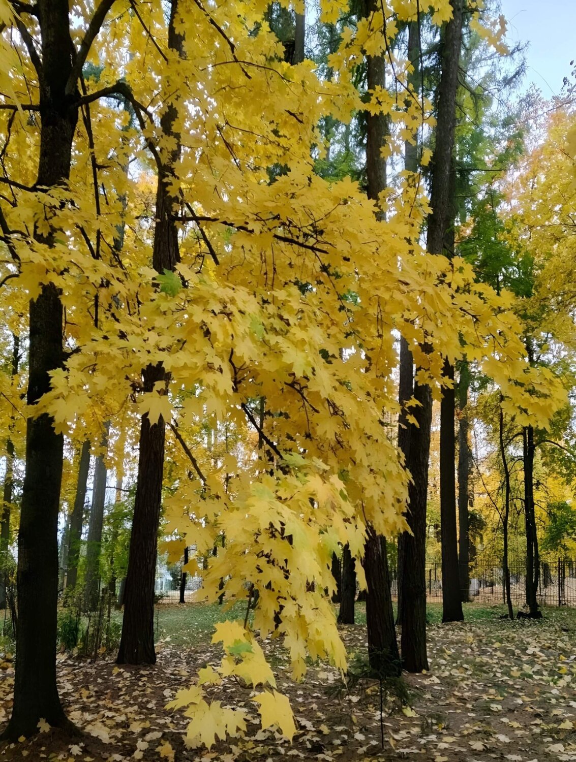 Photo #14085030