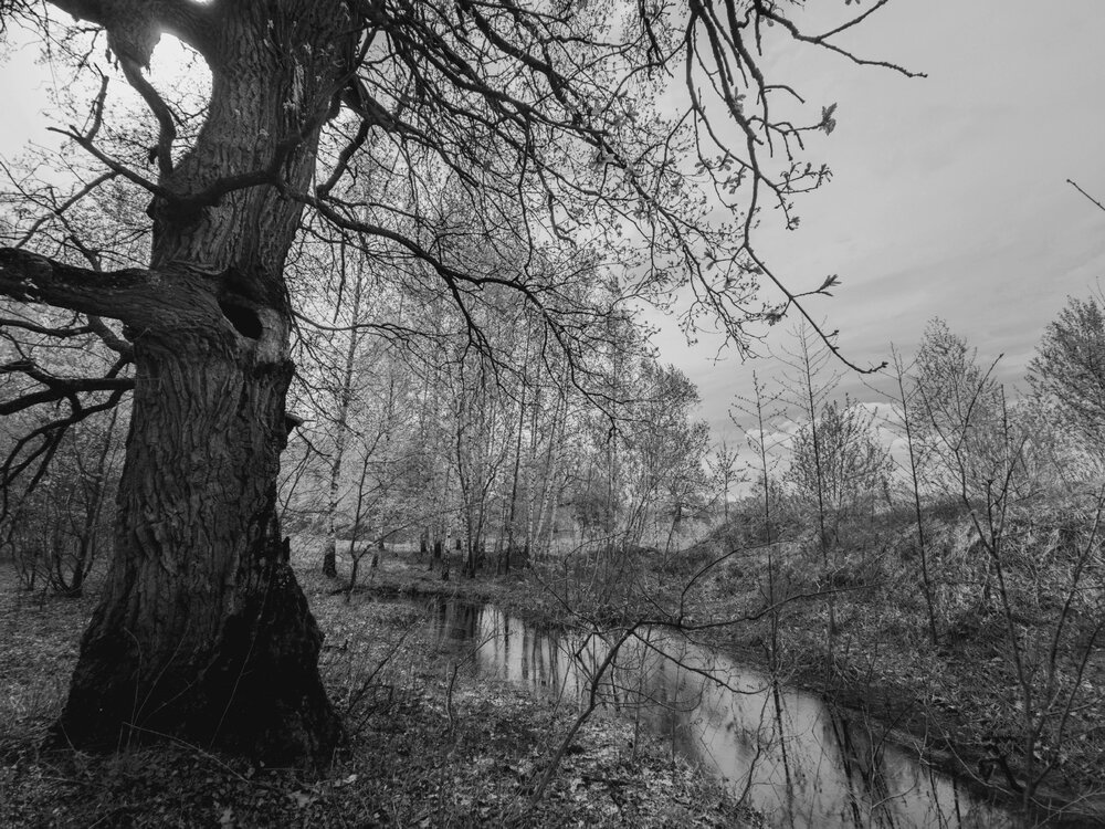 Photograph by Кирилл Сидоров