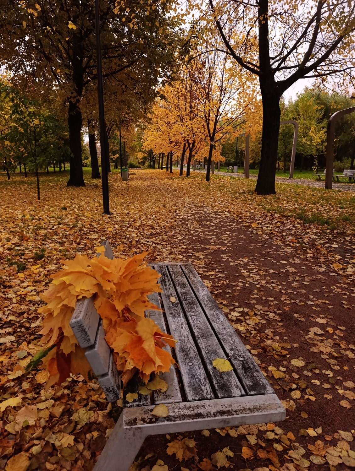 Photo #14085067