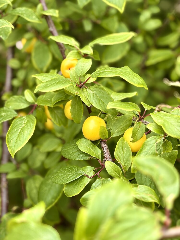 Photograph by Ольга