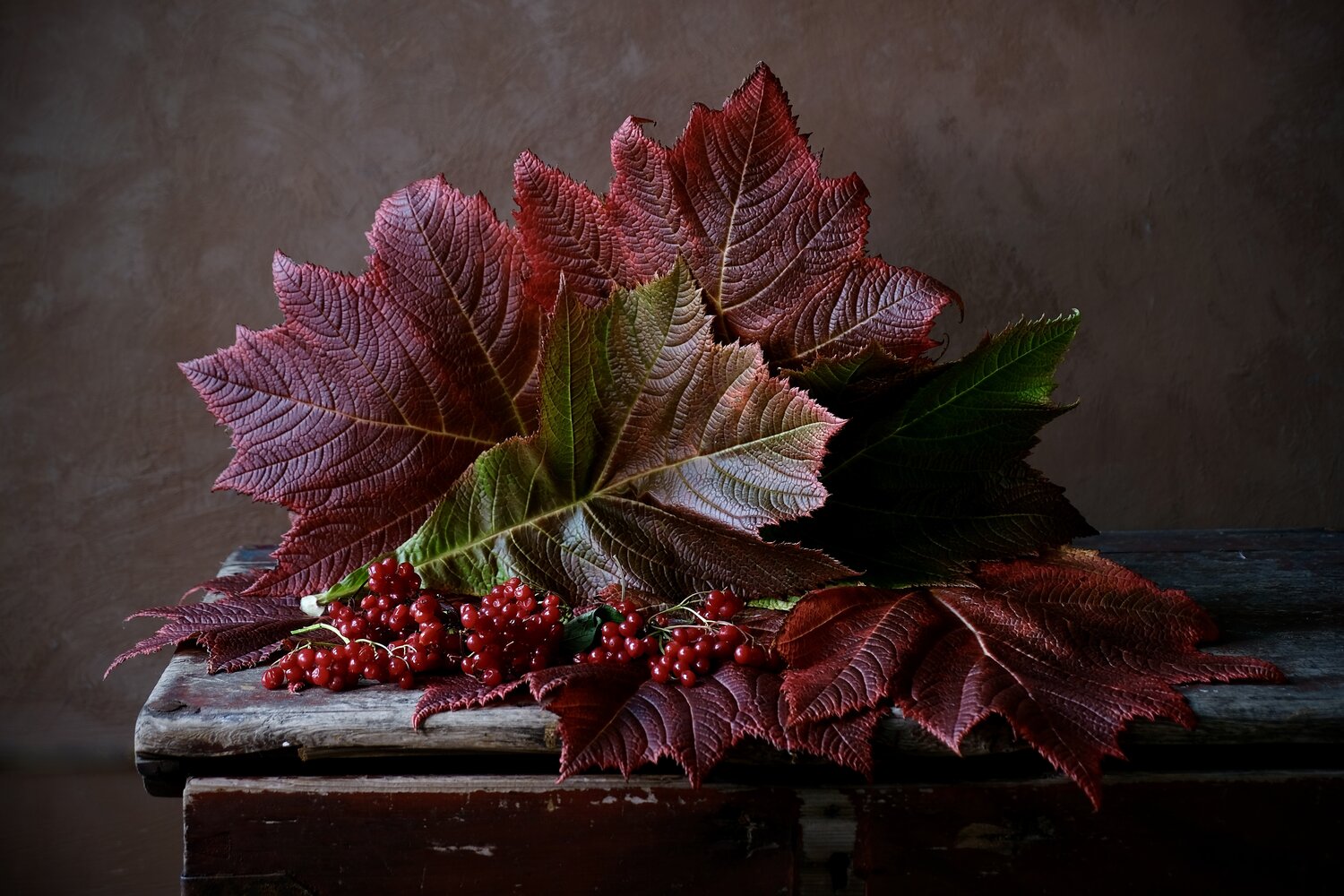 A burgundy mood