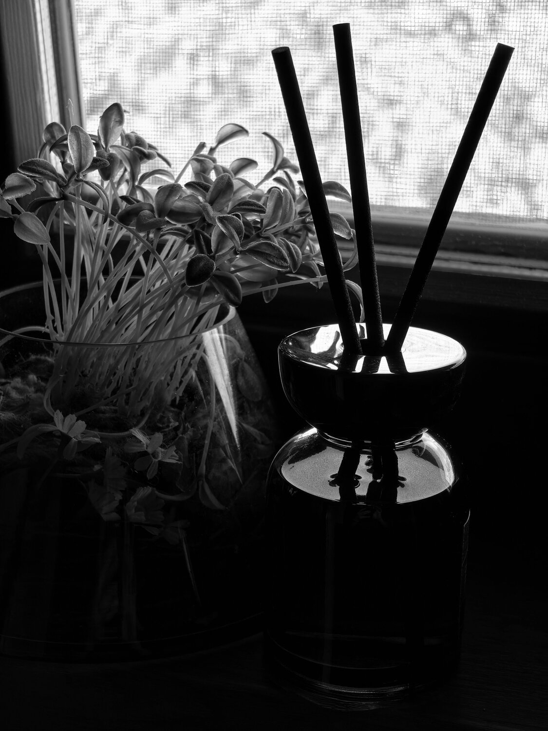 Photo #14085226