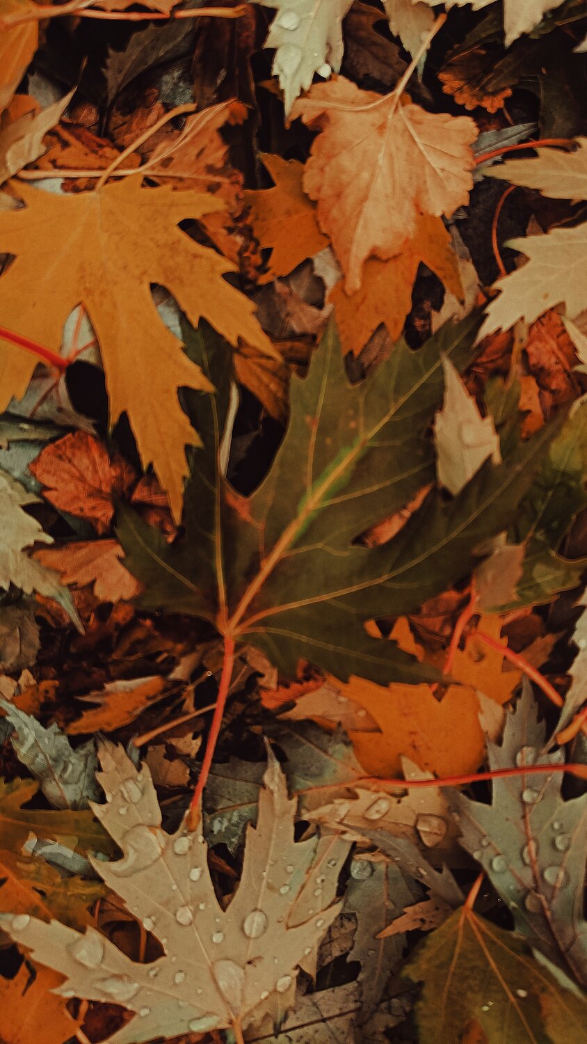 Photo #14085230