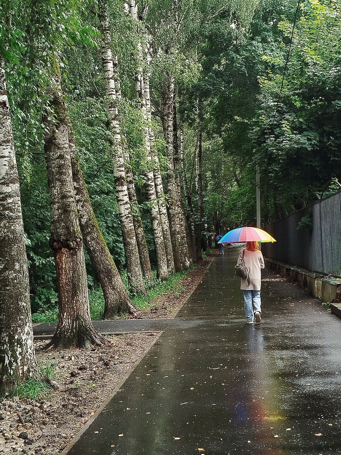 Photo #14085256