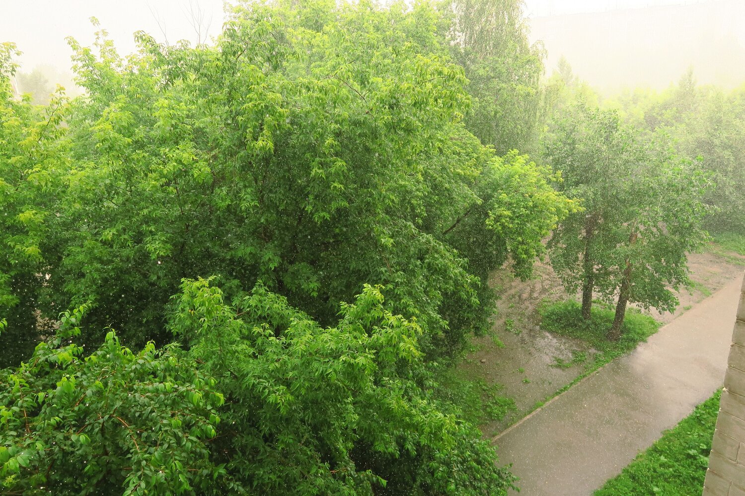 Photo #14085270