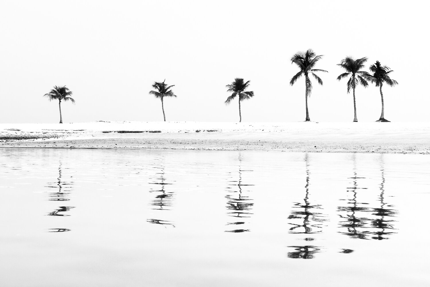 Photo #14085332