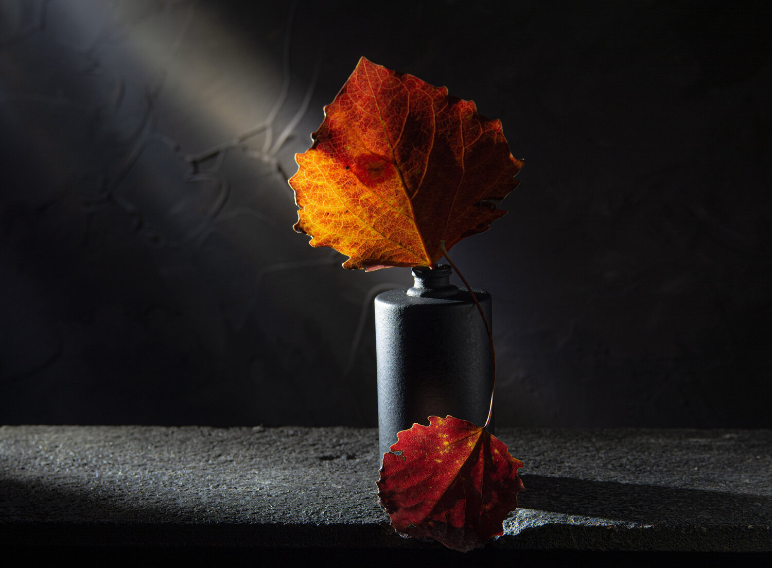 Photo #14085336