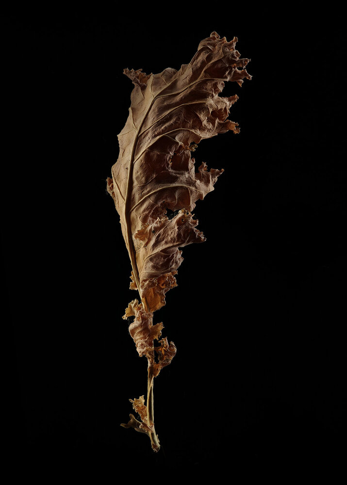 Photograph by Игорь Сахаров