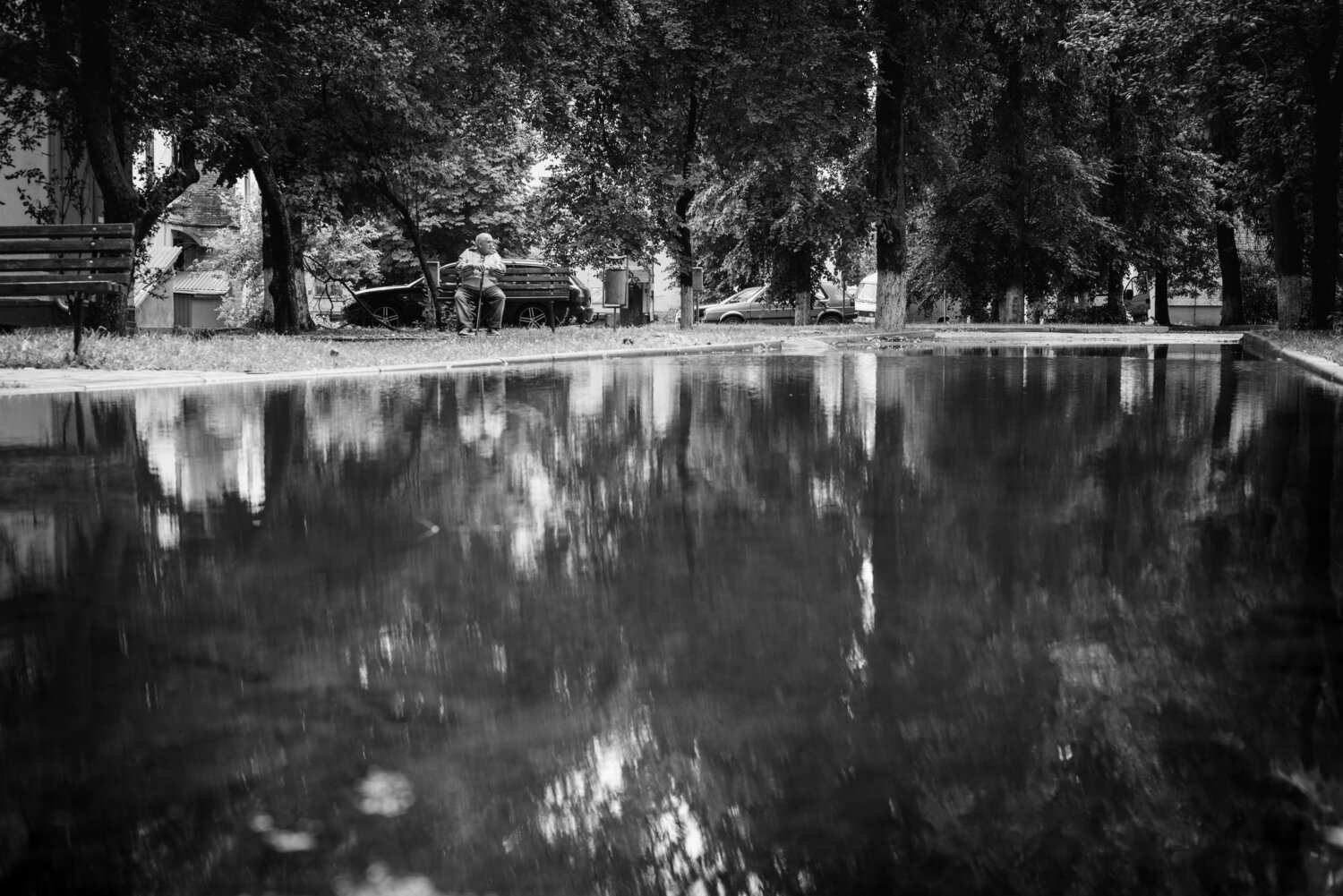 Фотография #14085405