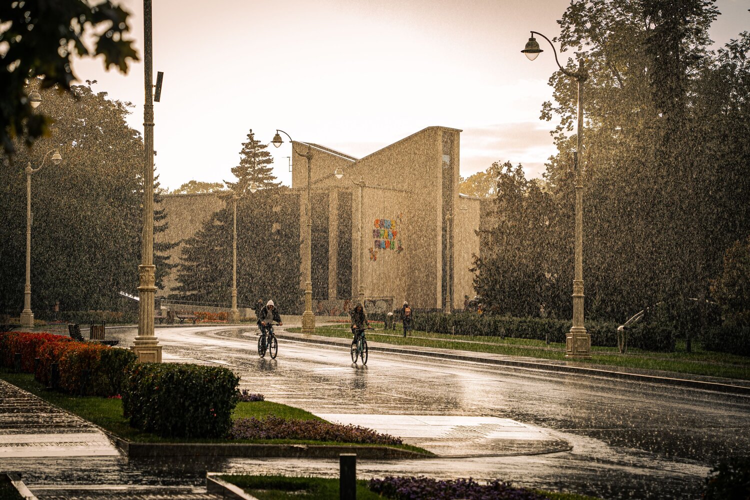 Photo #14085427